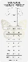 uncommon-resources-prophet-jerome-fernando-glorious-church-size-chart-for-tshirts-3 ivp.webp
